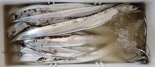 20220820_095805.jpg