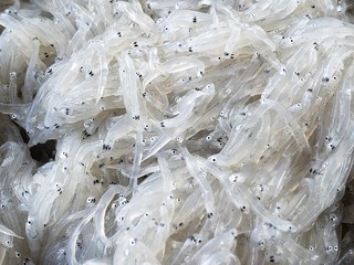 20220822_103750.jpg