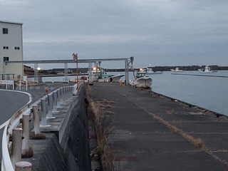 20230321_053845.jpg
