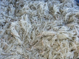 20230817_115811.jpg